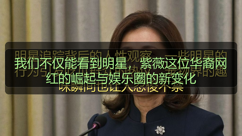 我们不仅能看到明星，紫薇这位华裔网红的崛起与娱乐圈的新变化